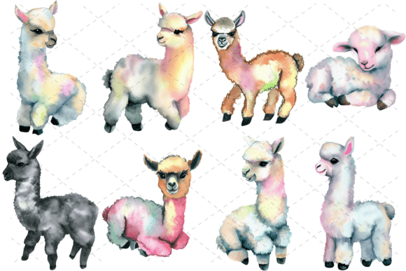 8 Alpaca Watercolor Llama Animal Bundle: A Designer's Playful Asset