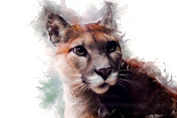 Animal Printables 300 Dpi Pack 04: Instant Wall Art