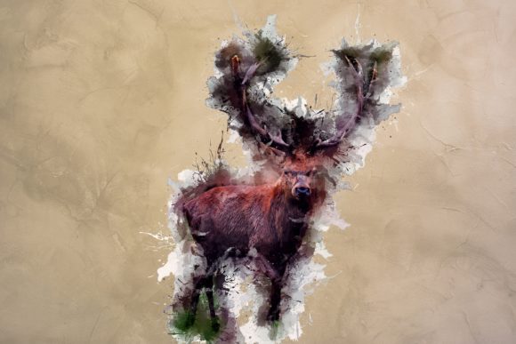 Animal Printables 300 DPI Pack 10: Instant Art for Your Projects