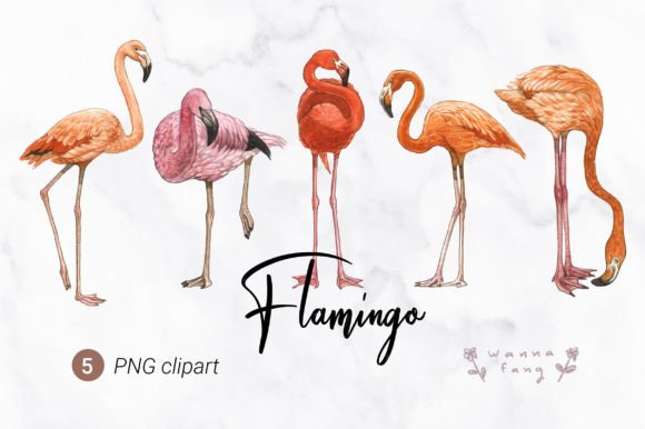 Flamingo Watercolor Animal Clipart, PNG: A Designer's Guide